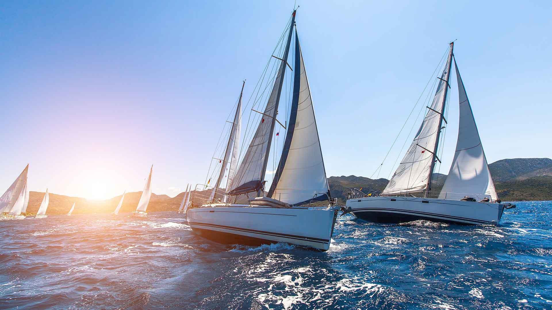 Regattaboote auf dem Wasser